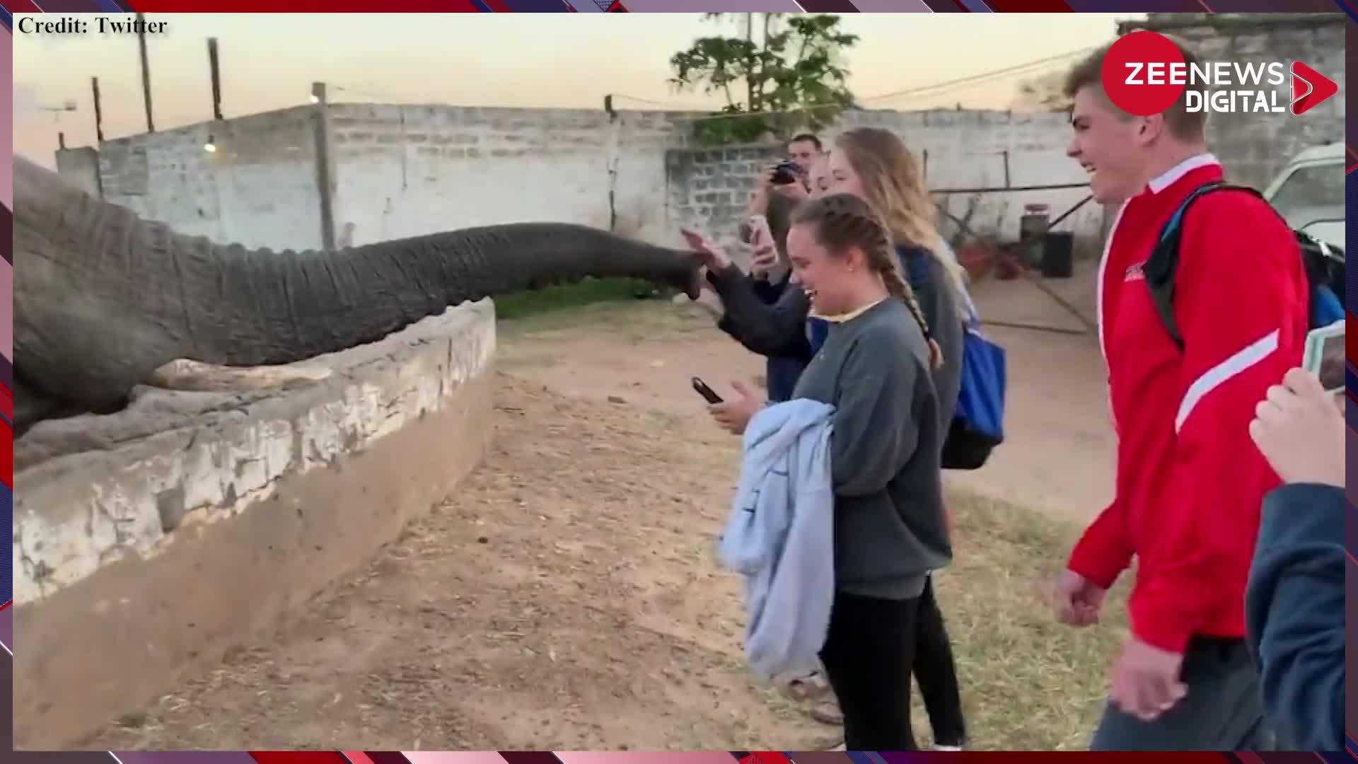 Viral Video: हाथी का वीडियो बना रही थी लड़की, अचानक हाथी ने दिखाई ताकत और सूंड से किया युवती पर हमला