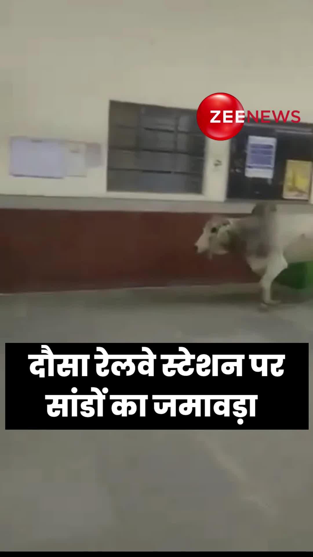 Viral Video: इस रेलवे स्टेशन पर सांडों का कब्जा, डर के मारे जान बचाते दिखे लोग
