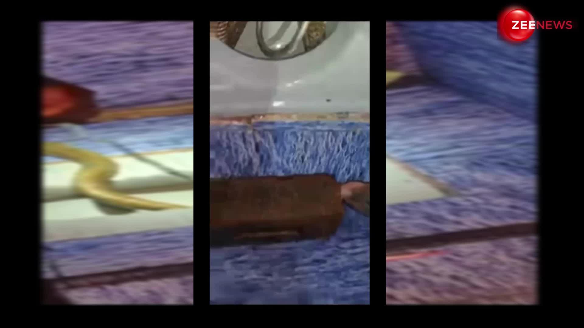 hilarious king cobra hiding in toilet seat kid got goosebumps