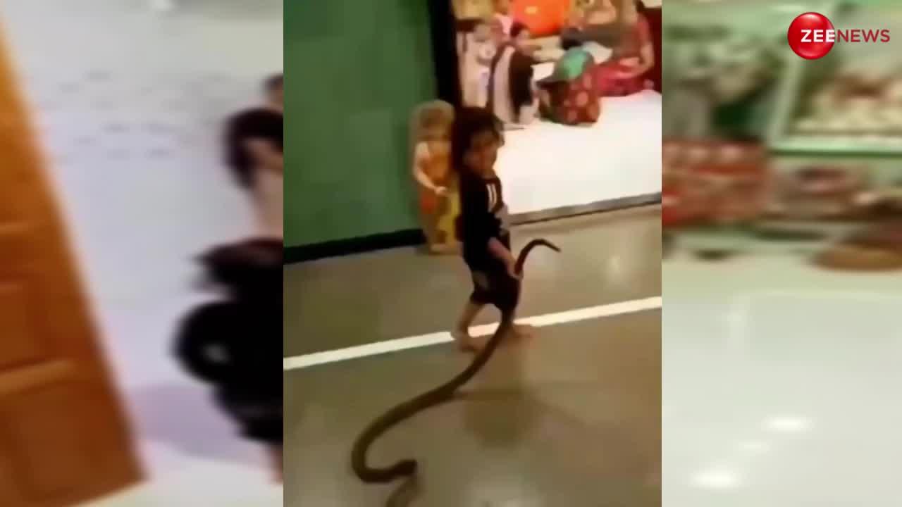 Child Video: हाथ में पकड़कर 3 साल का बच्चा घर ले आया किंग कोबरा, देखकर घरवालों की हो गई सिट्टी-पिट्टी गुम