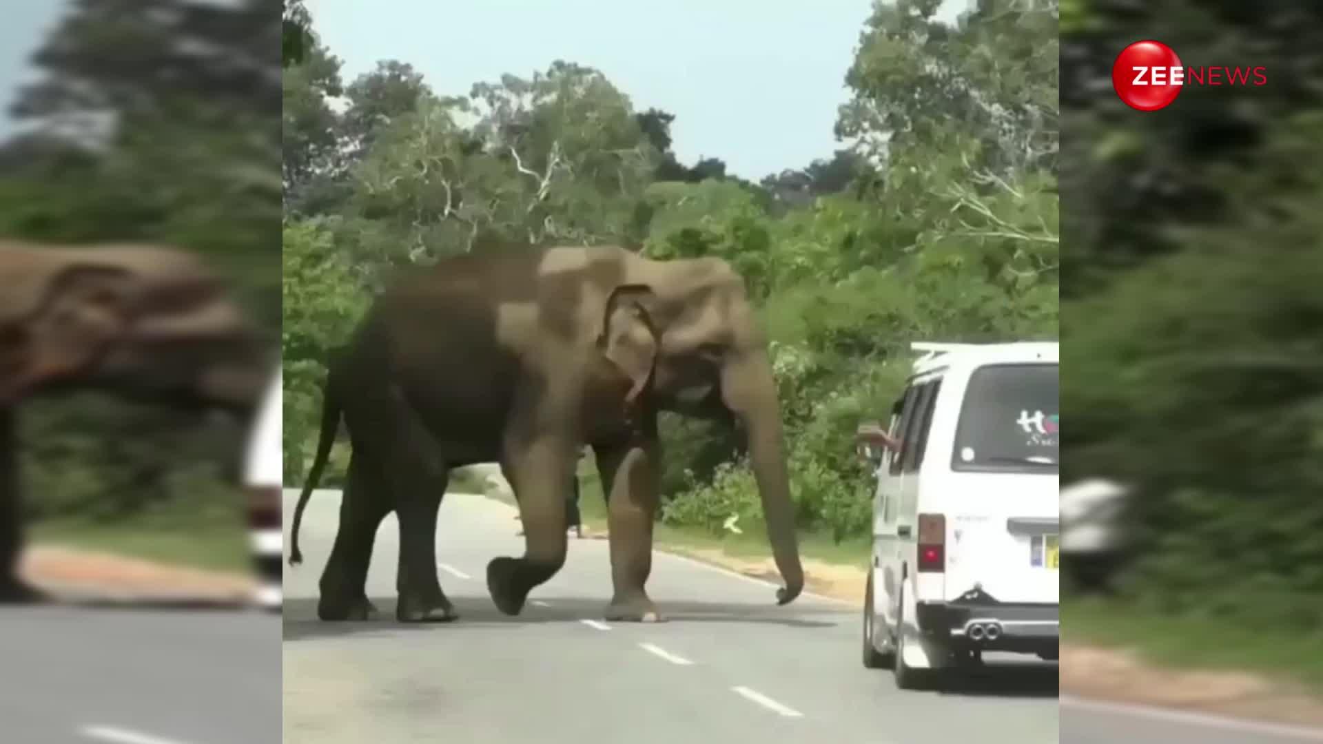 पूरा परिवार जा रहा था गांव, गुस्सैल हाथी ने गाड़ी पर किया हमला, खिड़की से कूदकर मुश्किल से बचाई सबने जान