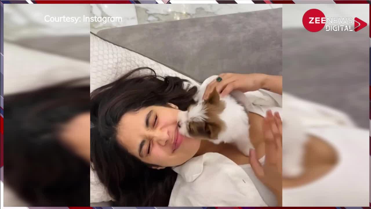 Janhvi Kapoor ने Valentines Day पर शेयर किया ऐसा वीडियो देख लोग बोले- 'अगले जन्म में कुत्ता ही बन जाऊंगा'