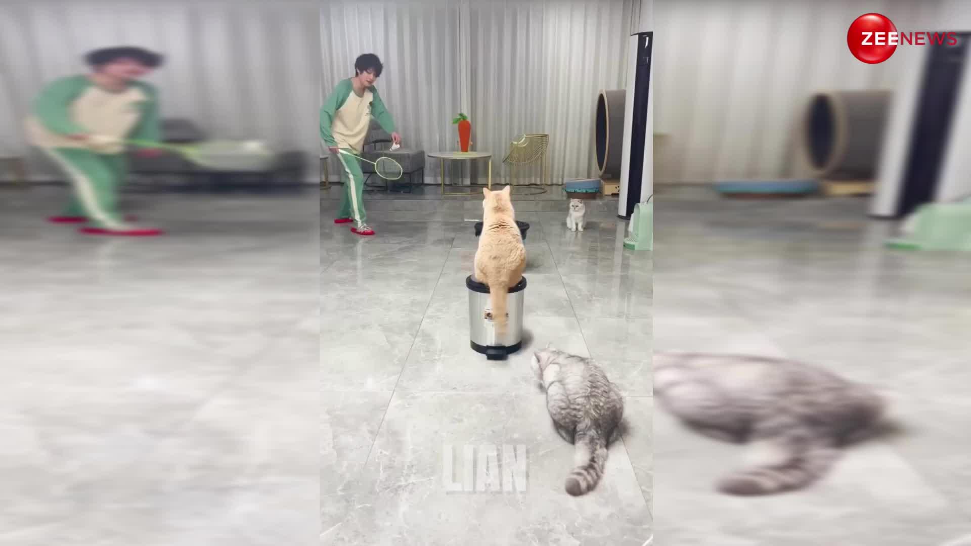 Cat viral video: बिल्लियों ने अपने मालिक के साथ खेला बैडमिंटन, वीडियो देख लोग बोले- क्या कूल कैट है