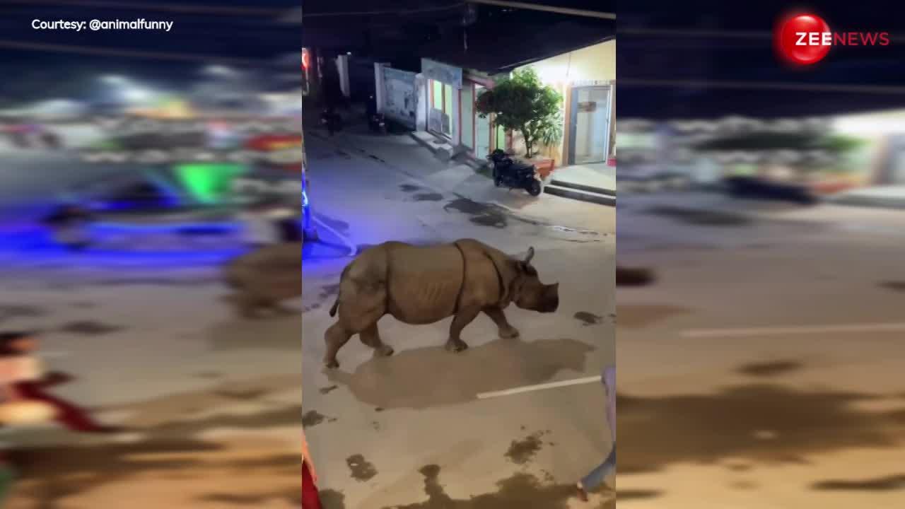 Rhino Viral Video: मस्ती में चलते हुए मोहल्ले में घुस गया गैंडा.... फिर आस-पास खड़े लोगों के साथ करने लगा वॉक!