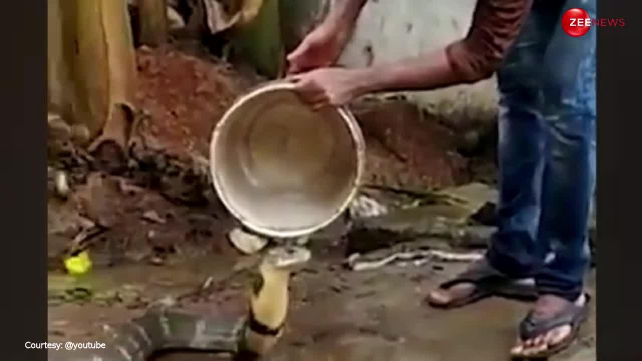 Cobra Video: कड़कड़ाती गर्मी में परेशान हुआ कोबरा, तो मालिक से की ठंडे पानी से नहलाने ने की डिमांड!