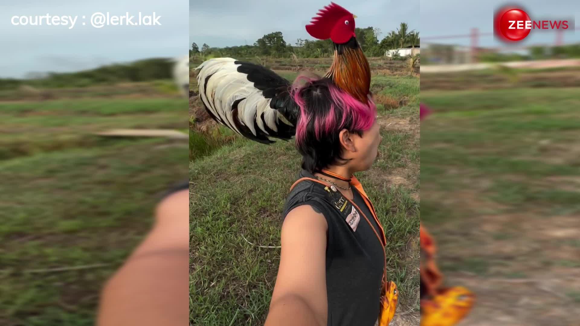 पहले कभी नहीं देखी होगी मुर्गे हेयर स्टाइल, शख्स का नया फैशन देख हिल गया लोगों का दिमाग-VIDEO