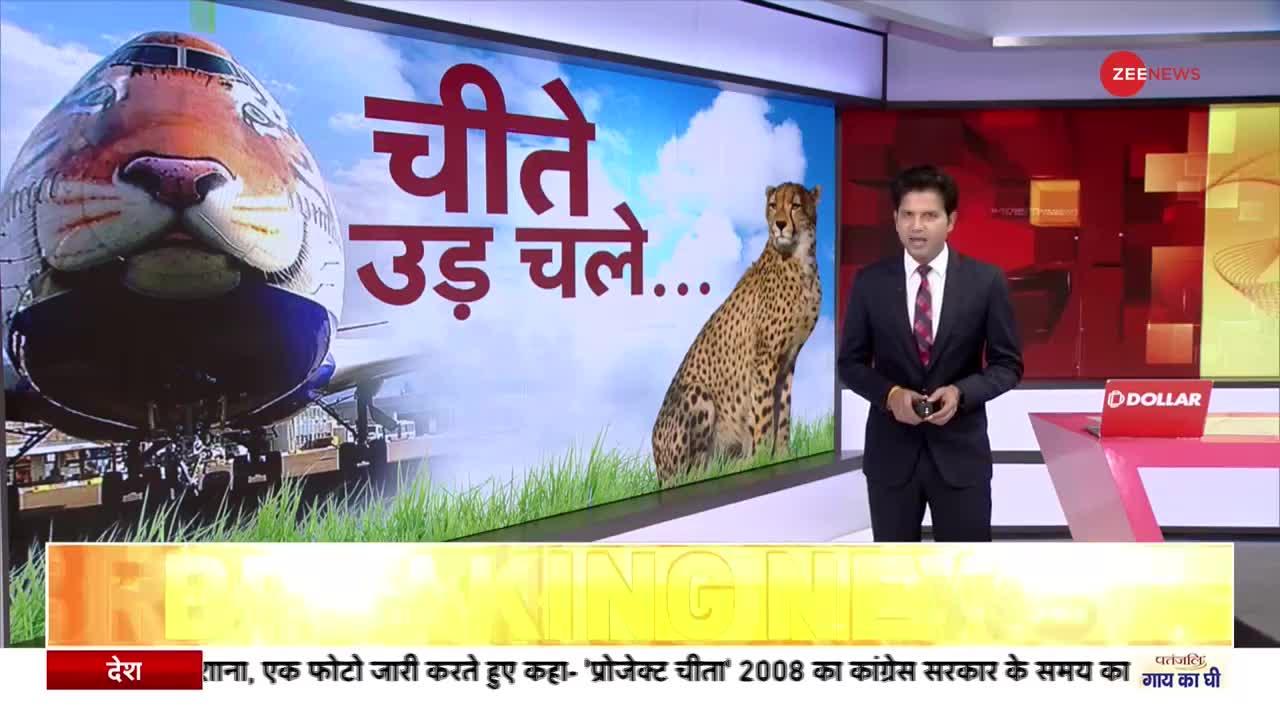 Cheetah Back To India: सूर्योदय से पहले भारत पहुंचेंगे चीते