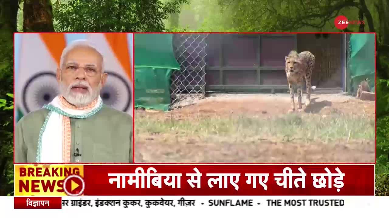 Project Cheetah: भारत की धरती पर चीतों की हुई वापसी, PM मोदी बोले- 'सदियों पुरानी कड़ी को जोड़ा'