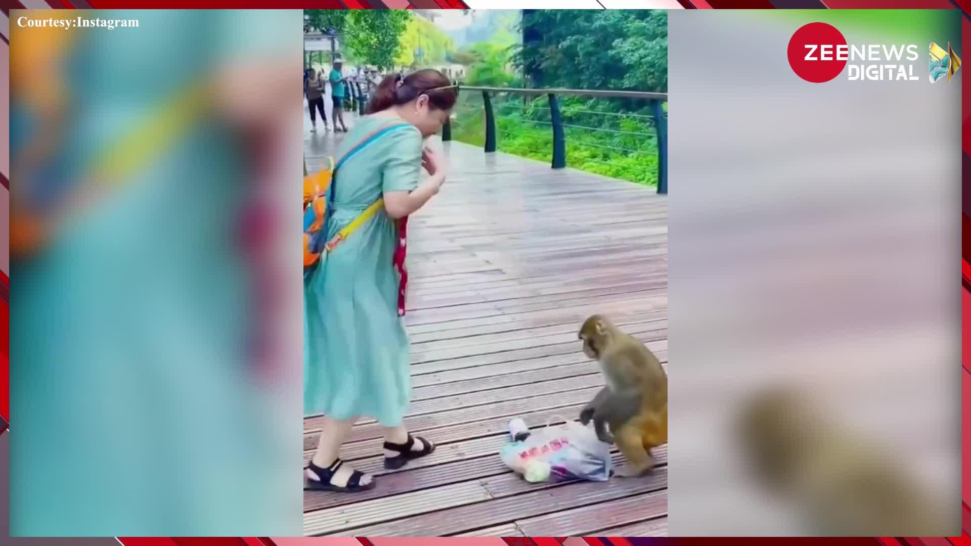 Funny Video: चिप्स के पैकेट के लिए राह चलती लड़की के पीछे पड़ गया बंदर, फिर जो हुआ देख नहीं रुकेगी हंसी