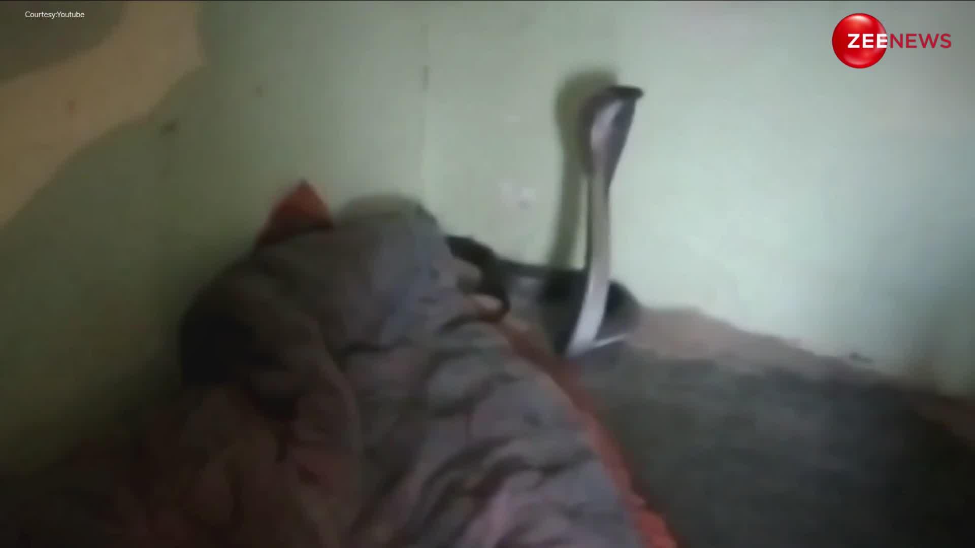Viral: एक ही कंबल में शख्स के साथ बड़े मौज से सो रहा था कोबरा, वीडियो देख लोगों के छूटे पसीने