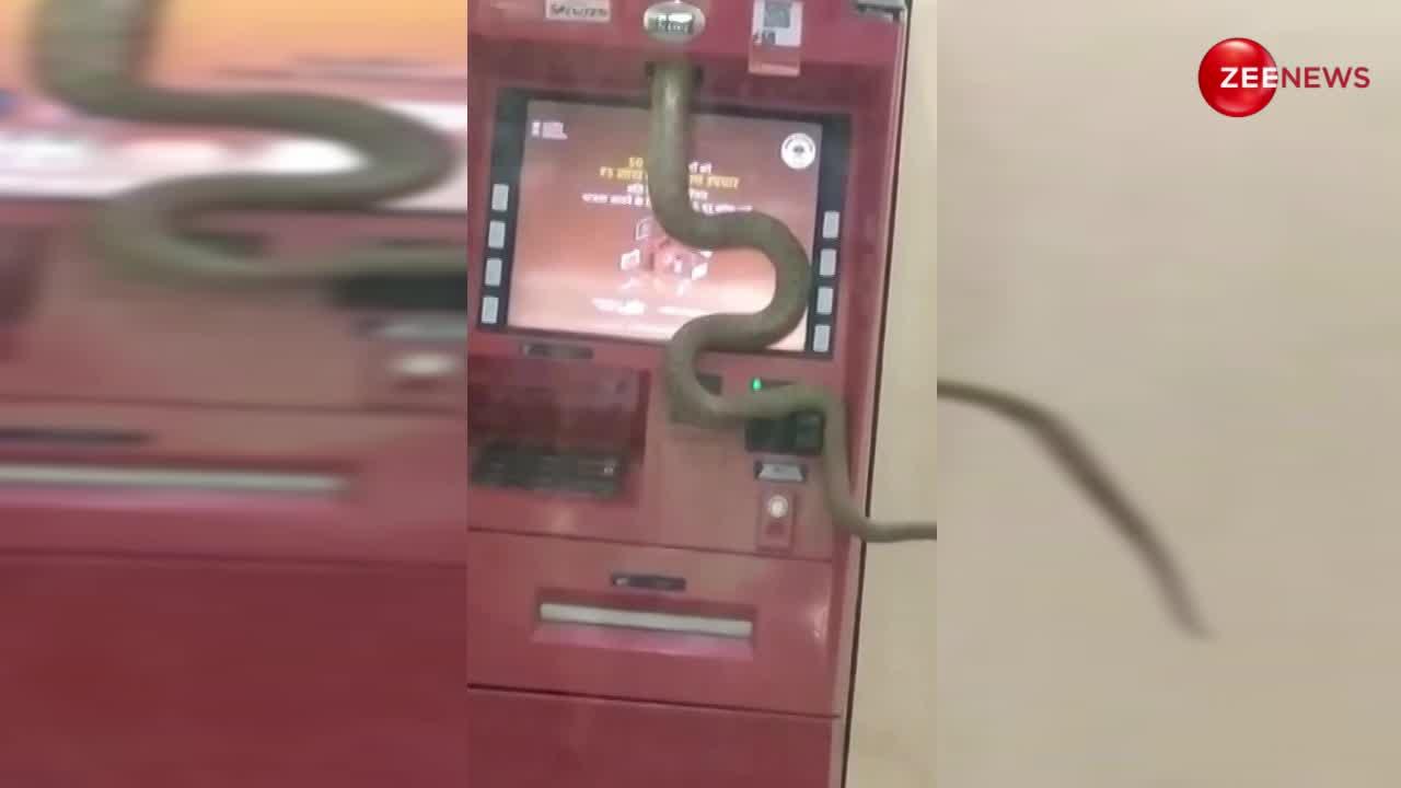 सरेआम ATM मशीन नें घुसा सांप, पुराना वीडियो हो रहा धड़ल्ले से वायरल; पैसे निकालने अब सावधानी से जाना!