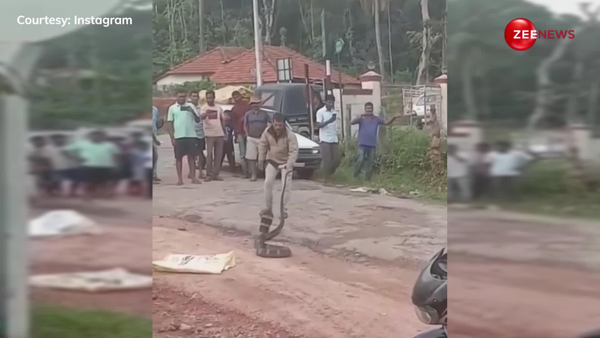 गांव में पहुंच गया 27 फुट का किंग कोबरा, देखने के लिए गाड़ियां रोक-रोक कर लोगों ने लगा दी भीड़