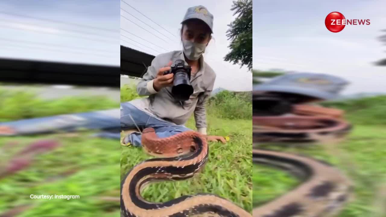 फोटोग्राफर को देख इठलाते हुए शूट कराने लगा कोबरा, पोज में दीपिका पादुकोण को दे दी टक्कर