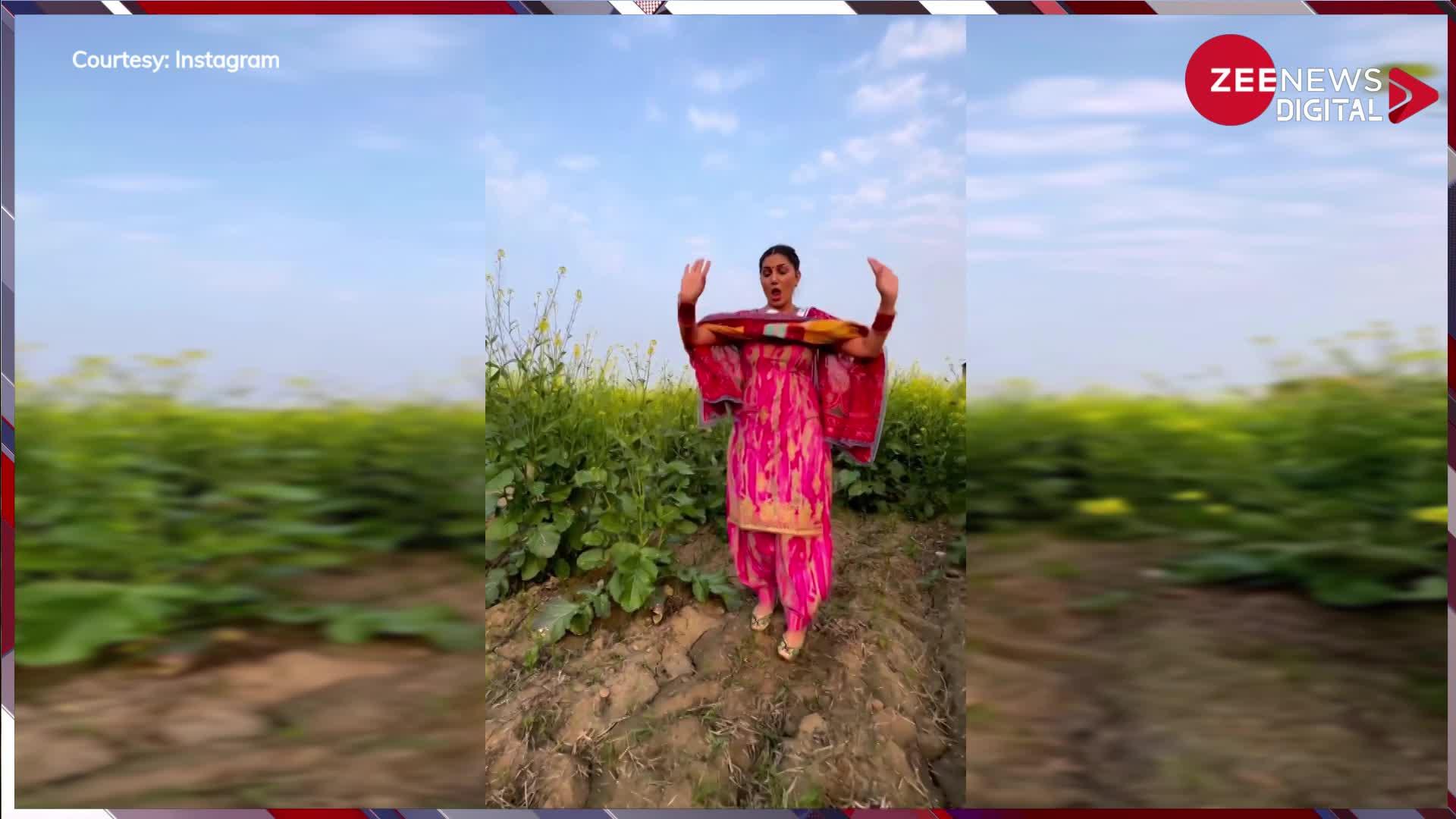 खेत के बीच में खड़े होकर Sapna Chaudhary ने लगाए ऐसे ठुमके कि आहें भरने लगे फैंस