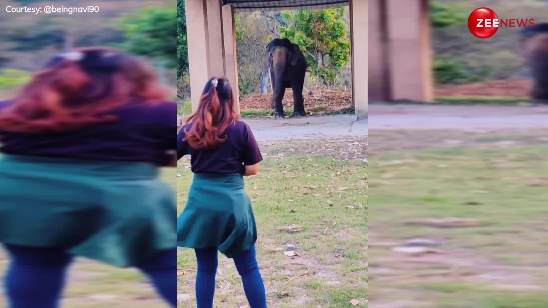 Viral: लड़की को डांस करता देख हाथी ने भी किया सूंड उठाकर मजे में डांस