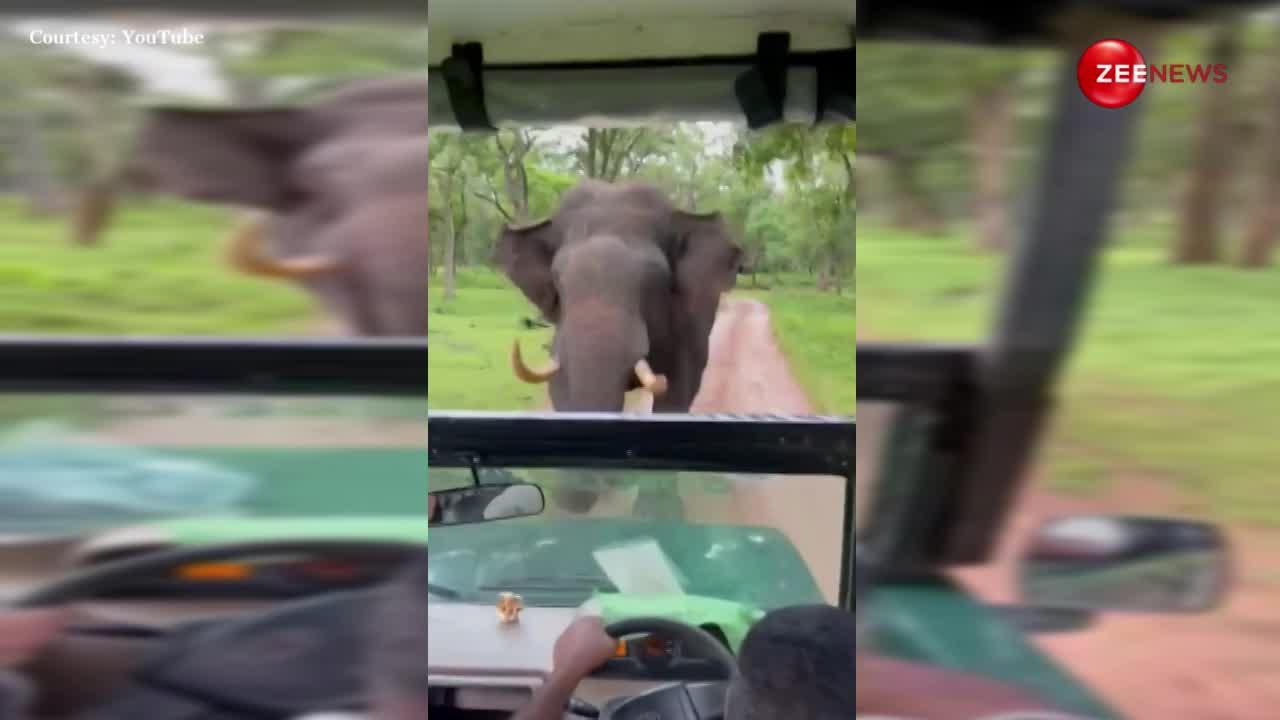 Elephant Viral Video: लोगों से भरी सफारी जीप के पीछे भागा जंगली हाथी, वीडियो देख रोंगटे खड़े हो जाएंगे