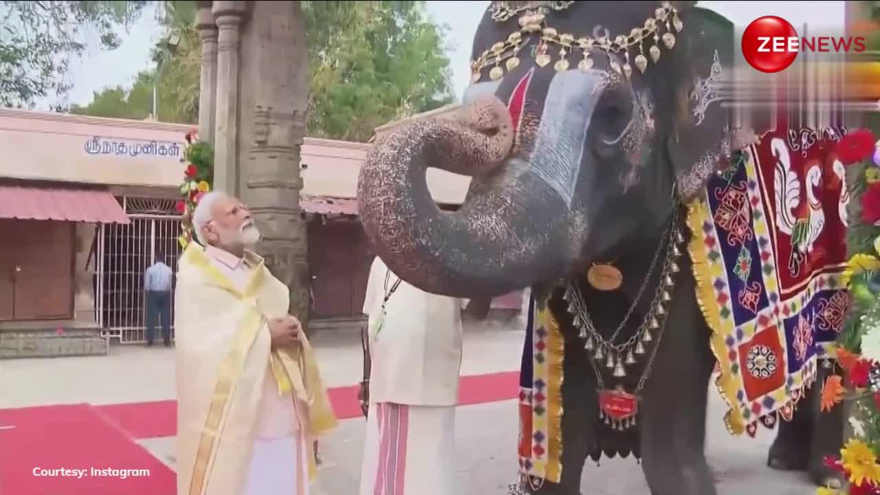 PM Modi ने श्री रंगनाथस्वामी मंदिर के किए दर्शन, हाथी से लिया आशीर्वाद; वीडियो वायरल