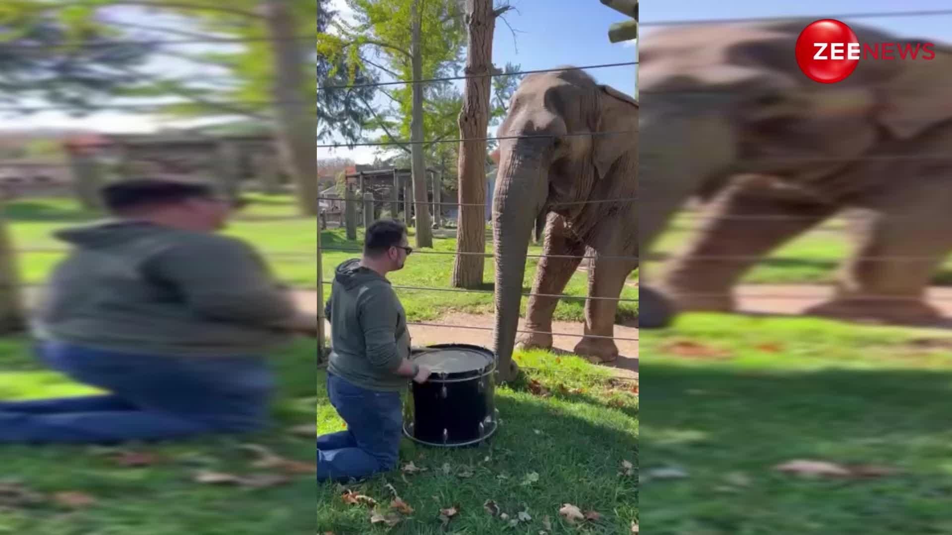 हाथी का ऐसा क्यूट वीडियो आपने पहले कभी नहीं देखा होगा