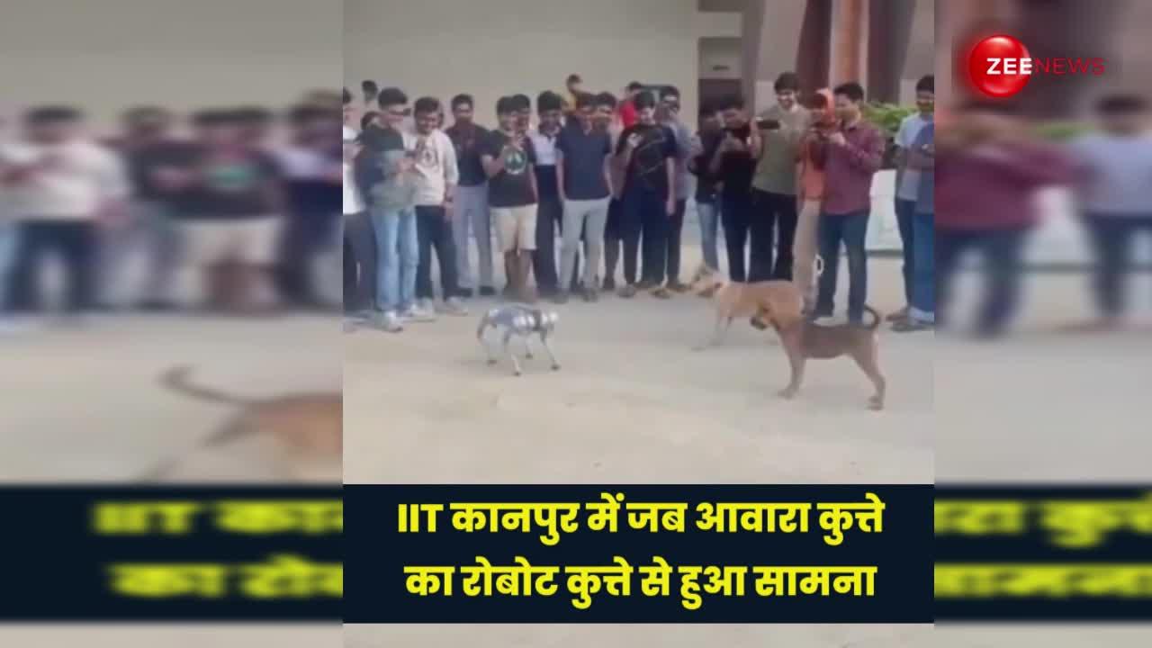 IIT कानपुर में जब आवारा कुत्ते का रोबोट कुत्ते से हुआ सामना, फिर जो हुआ देख सिर चकरा जाएगा