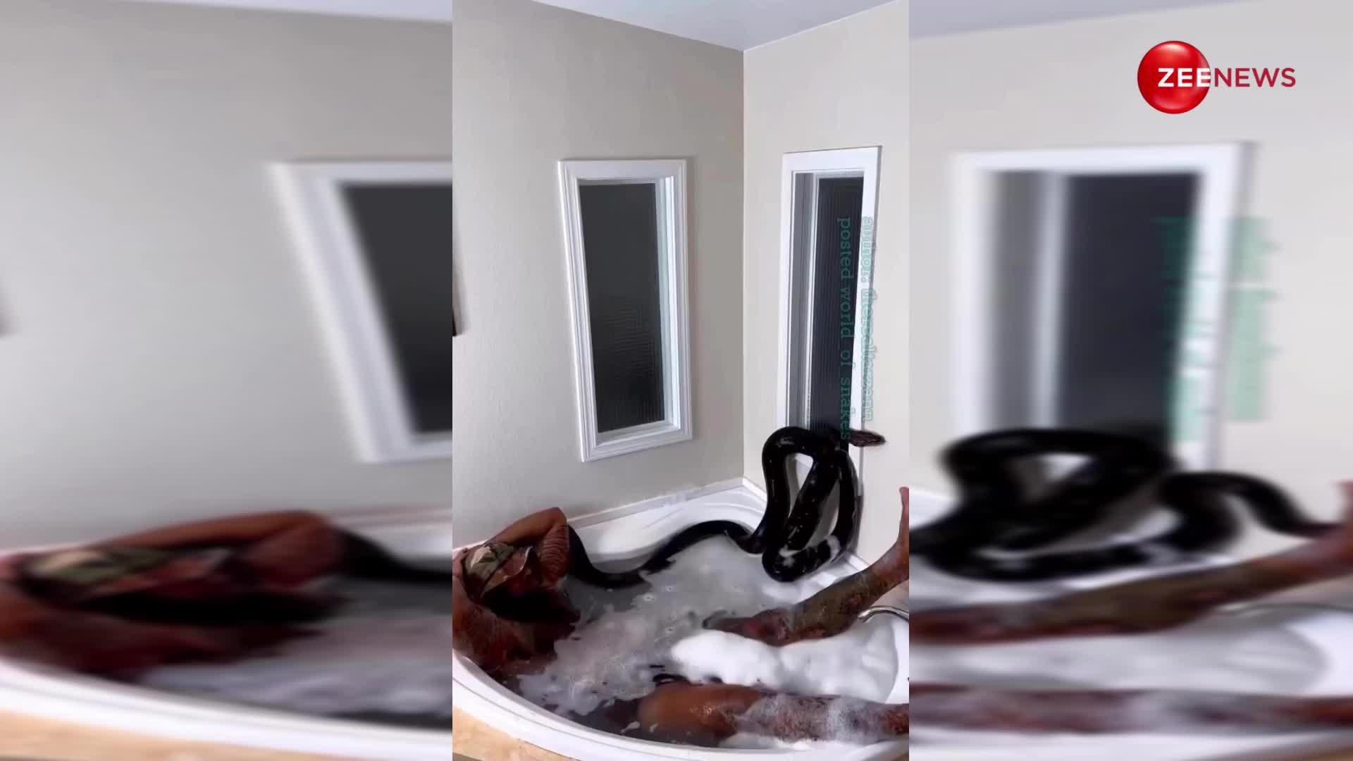 रोंगटे खड़े कर देगा ये वीडियो... अजगर को अपने साथ बाथटब में नहलाने लगा शख्स, देख लोगों का हिल गया दिमाग