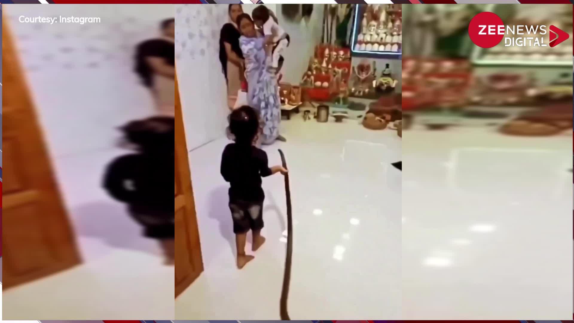 Viral: छोटा बच्चा सांप को हाथ में पकड़कर पूरे घर में खिलौने की तरह घूमाता आया नजर, परिवार वाले भागते दिखे इधर-उधर, देख उड़े सबके होश