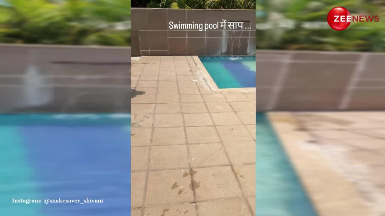 Snake Video: हॉटल के स्विमिंग पूल से महिला ने पकड़ा खतरनाक सांप, नजारा देख डर गए बच्चे