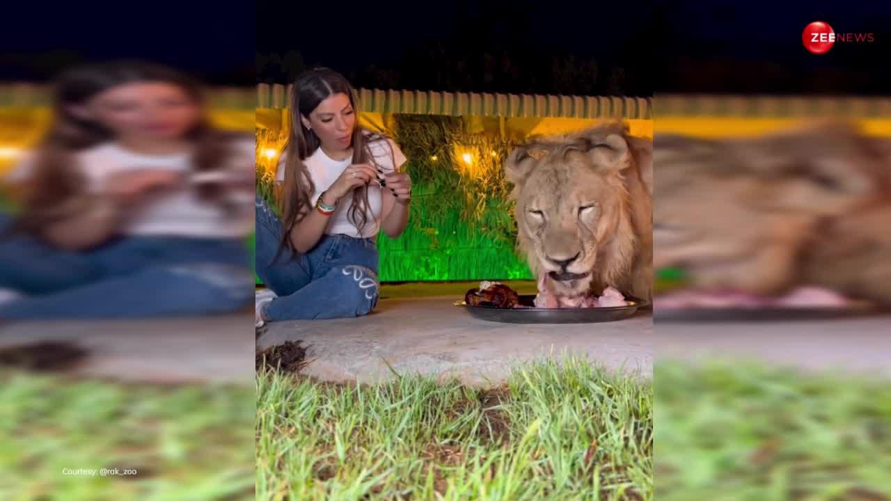 एक ही प्लेट में शेर के साथ लड़की ने किया डिनर, दोनों ने मजे लेते हुए खाया खाना, शायद ही देखा होगा ऐसा वीडियो