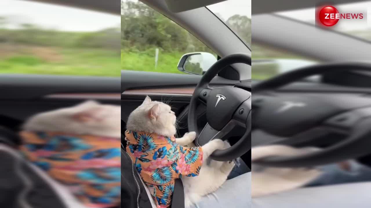 बिल्ली ने अपने मालिक के साथ की ड्राइविंग, लोग बोले-स्मार्ट कैट