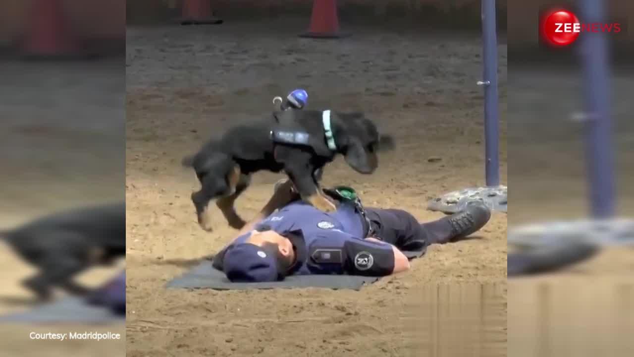 Dog को CPR देते हुए कभी देखा है? वीडियो देख स्क्रीन से न हटाने पर हो जाओगे मजबूर