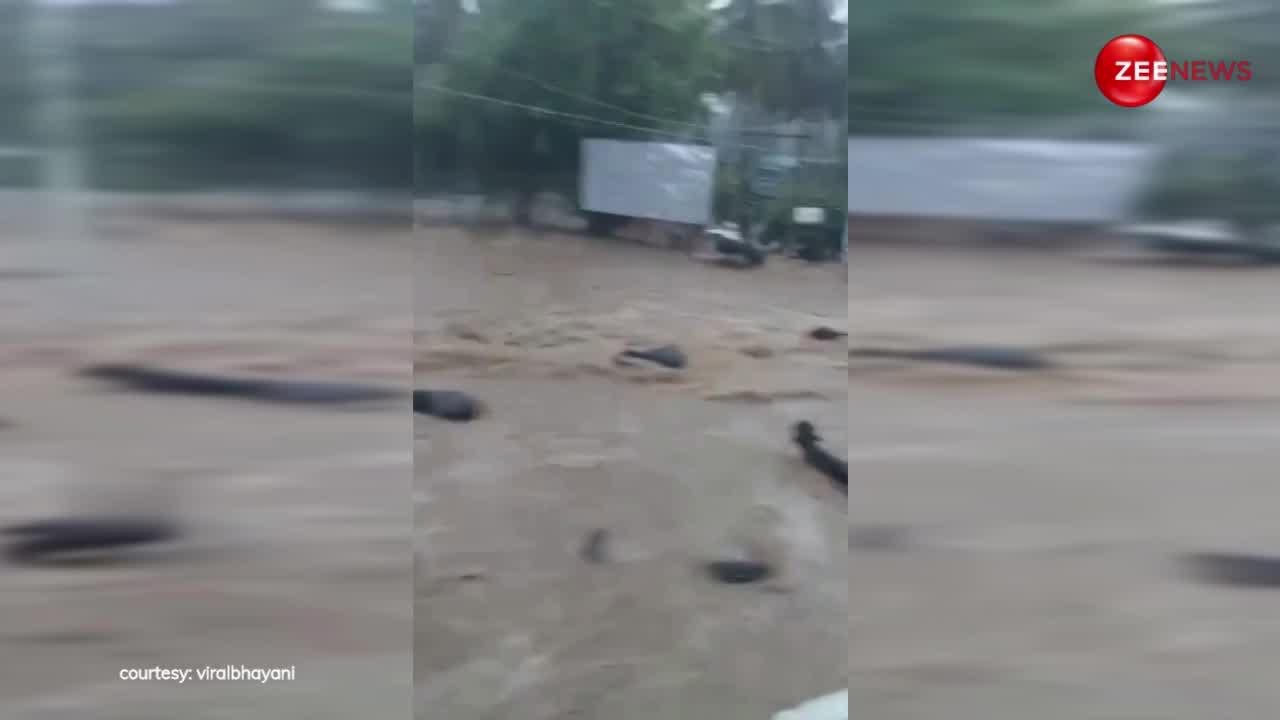 गुजरात के जूनागढ़ में आई कयामत की बारिश, बाढ़ में तिनके की तरह बहे कई जानवर; दिल दहला देगा वीडियो