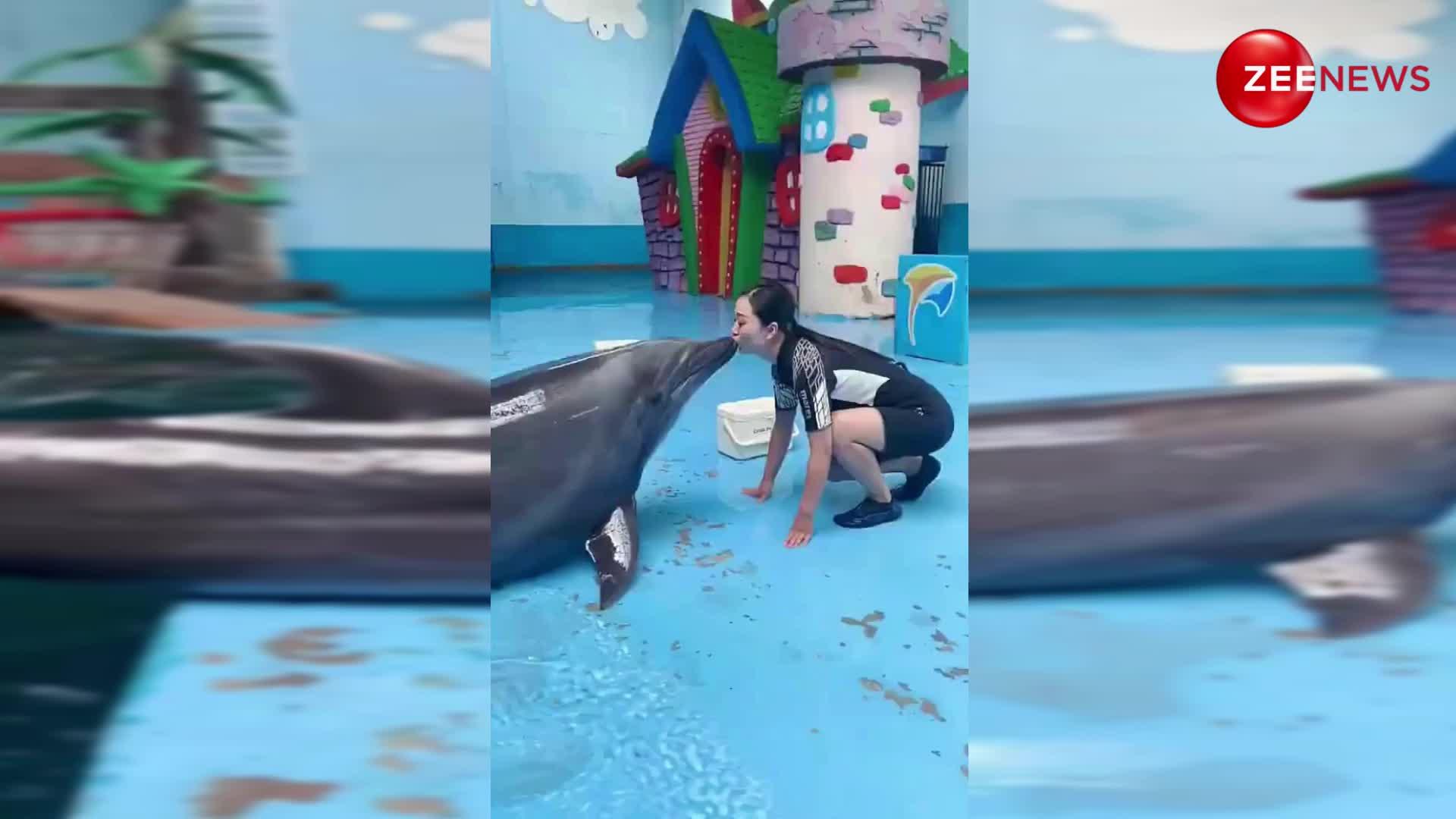 Cute Dolphin viral video: अपनी ट्रेनर को किस करने के लिए पानी से बाहर आ गई डॉलफिन, वीडियो देख लोग बोले- सो क्यूट