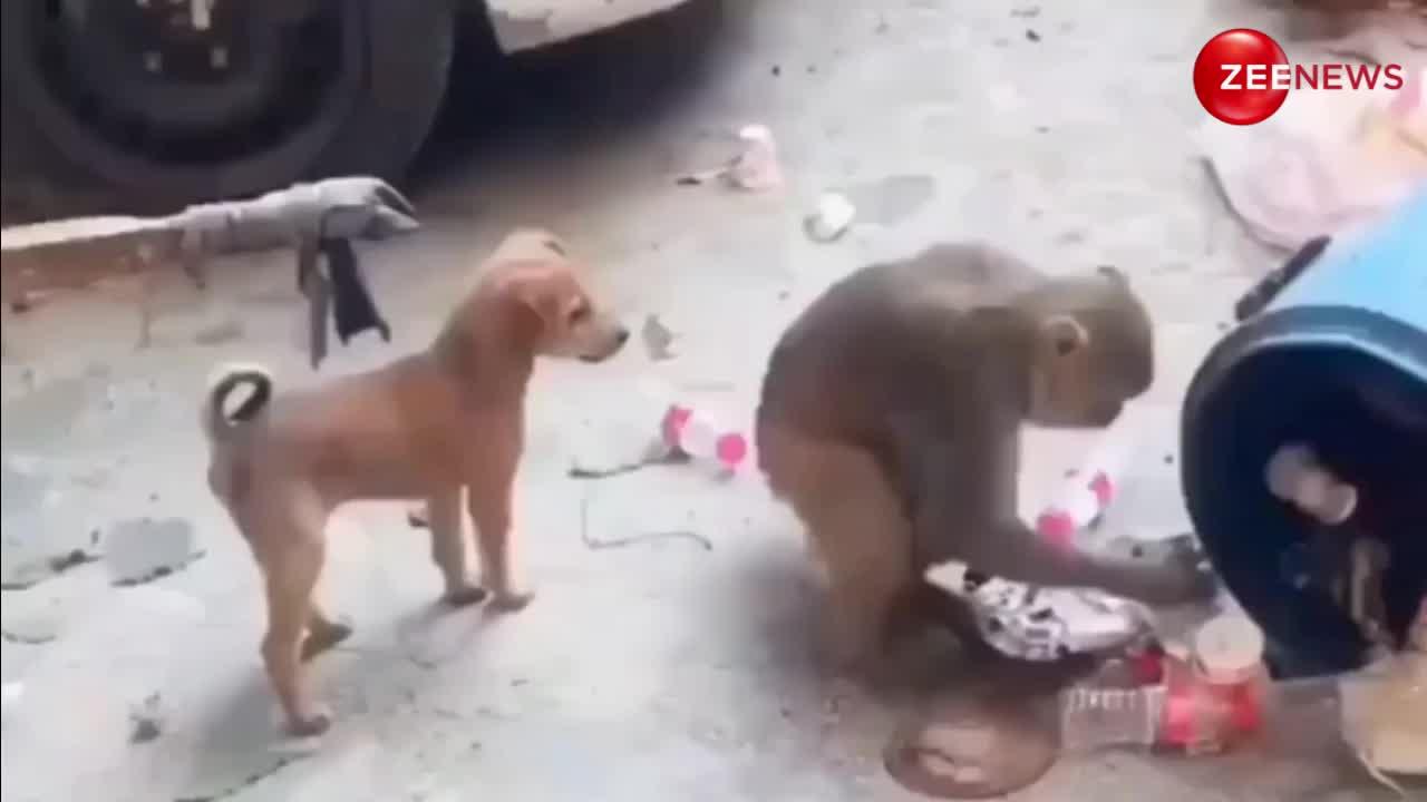 Dog Fight: कुत्ते ने बंदर को किया परेशान तो घुमा के दिया थप्पड़, लोग बोले- ये क्या चल रहा है