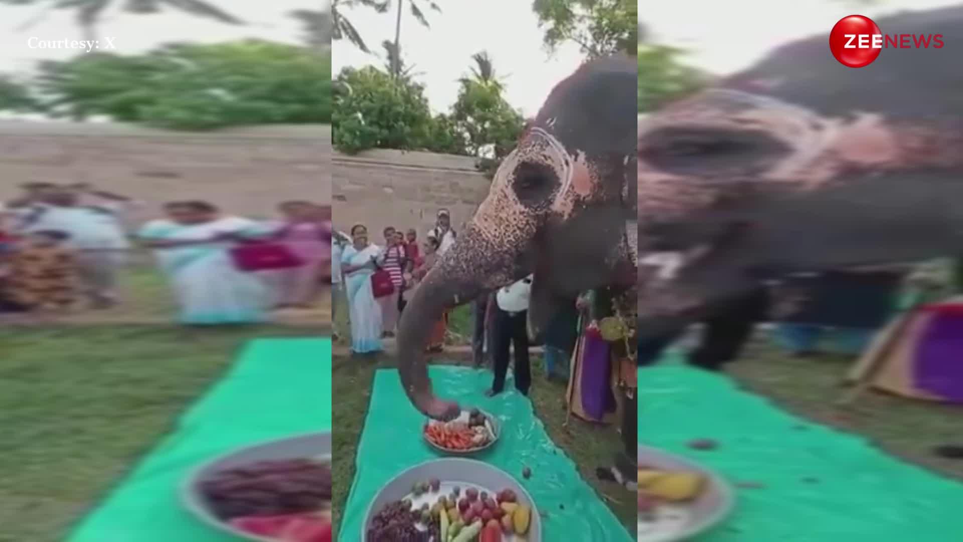 तमिलनाडु के इस हाथी का शाही अंदाज में मना 22वां बर्थडे, फल खाते हुए मजे से सूंड हिलाते दिखा गजराज; दिल जीत लेगा वीडियो