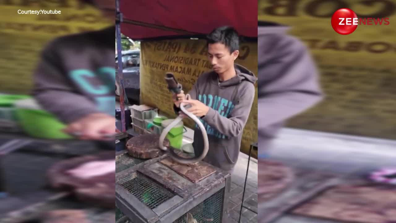 King Cobara: कुछ इस तरह से Indonesia के लोग खाते हैं किंग कोबरा, वीडियो देख आप भी हो जाएंगे शॉक