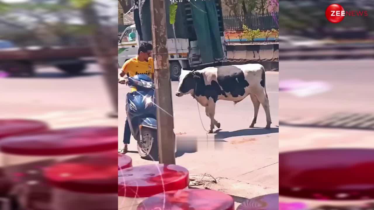 Cow Viral Video: युवक के साथ स्कूटी पर बैठने के लिए गाय करने लगीं जिद, पास खड़े लोग रह गए आश्चर्यचकित....