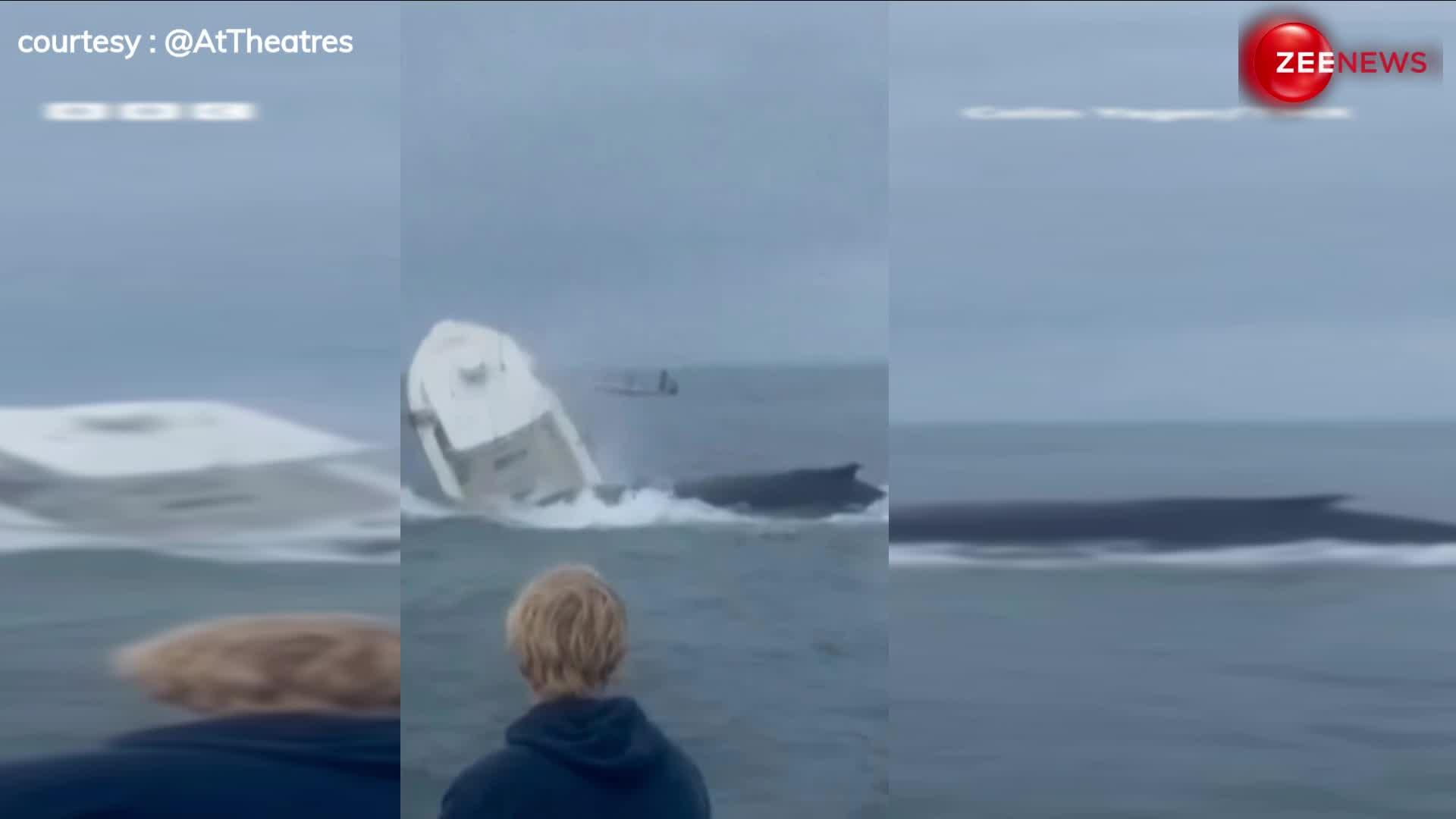 व्हेल ने नाव को बना दिया खिलौना, लगाई ऐसी छलांग के पलट गई 23 फीट लंबी फिशिंग बोट, सामने आया EXCLUSIVE VIDEO