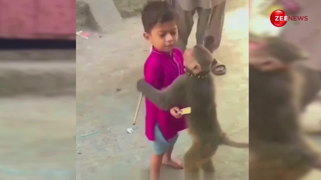 मदारी का खेल... छोटा बच्चा देने गया पैसे, बंदर ने इतने प्यार से उसे गले लगाया; अद्भुत नजारा देख लोग बोले- जय बजरंगबली