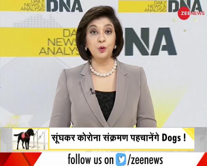 DNA: क्या Sniffer Dogs हकीकत में कोरोना संक्रमण पहचान सकते है?