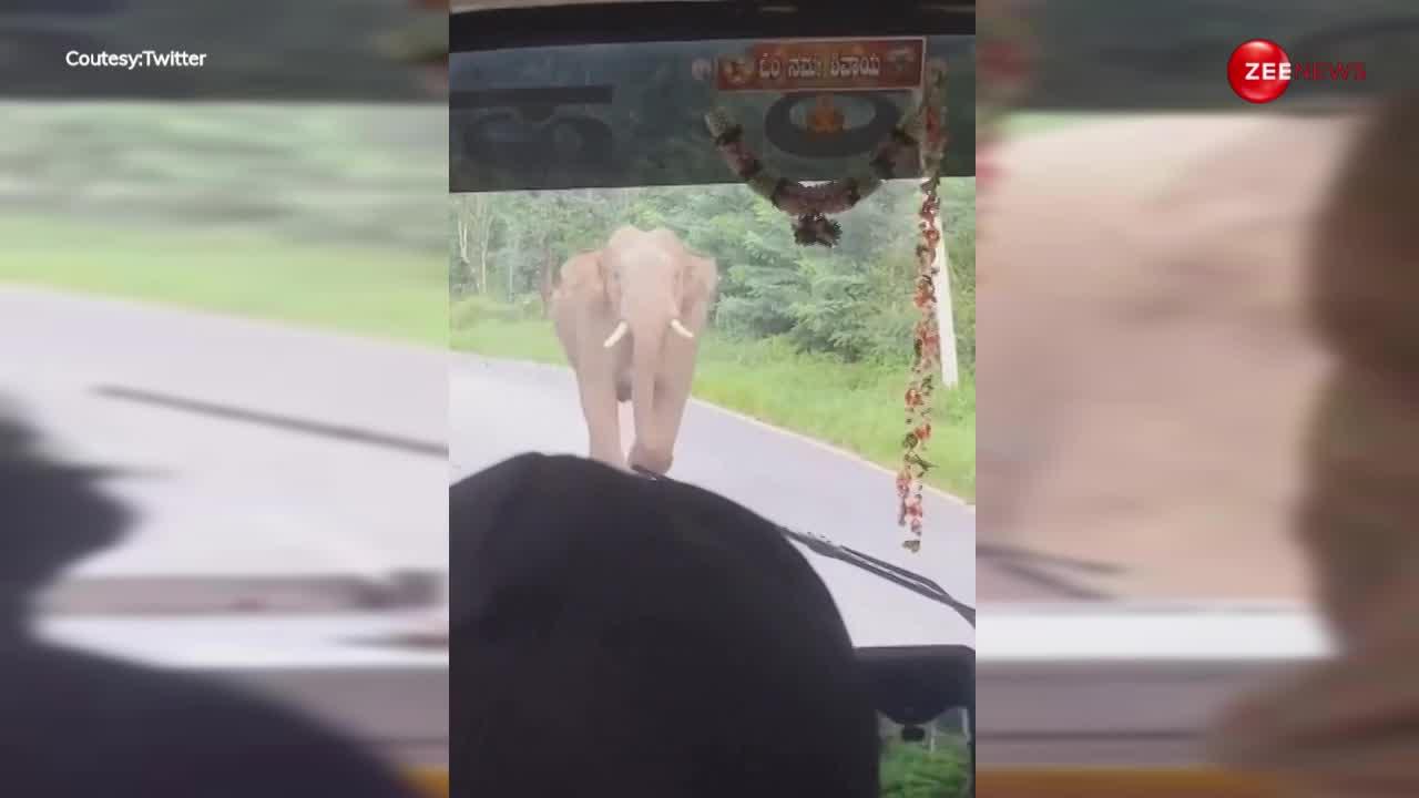 यात्रियों से भरी बस पर हाथी ने किया हमला, ऐसे बचाई लोगों ने अपनी जान
