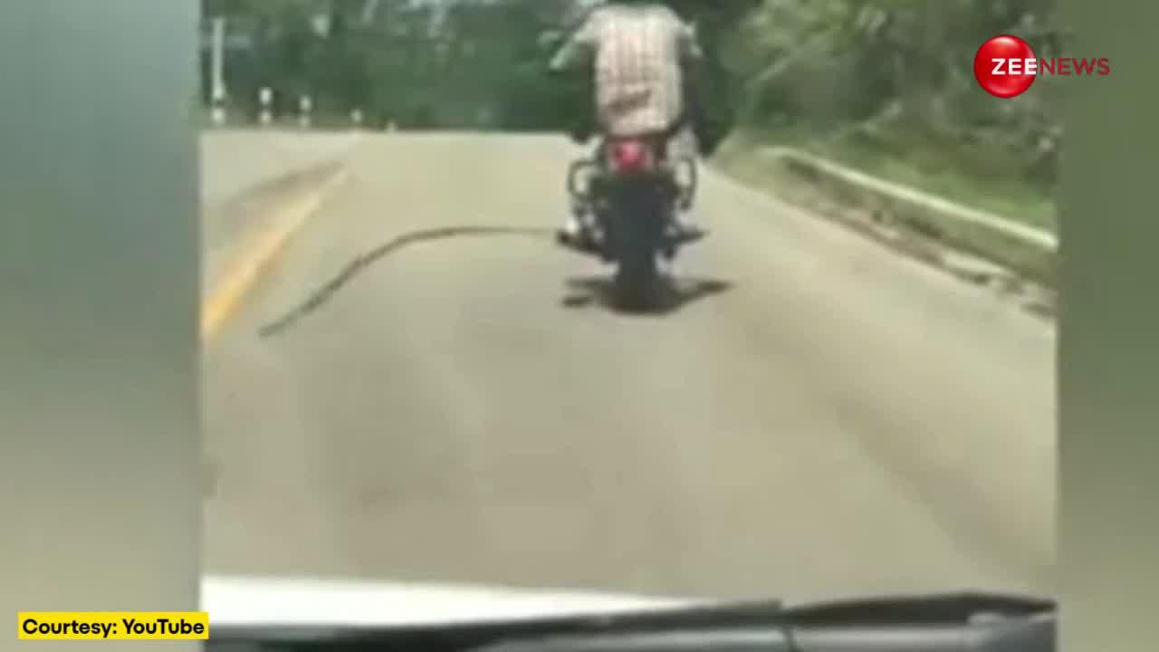 थाइलैंड की सड़क पर बाइक दौड़ा रहा था शख्स तभी सांप ने उड़कर कर दिया अटैक, देखें वायरल वीडियो