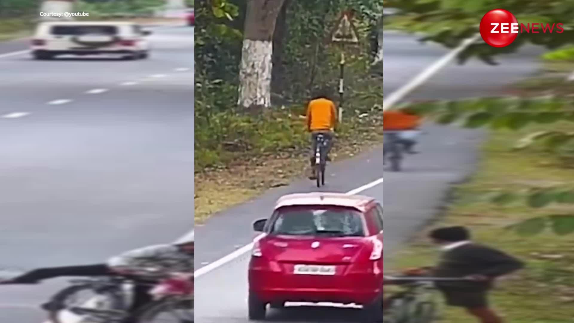 साइकिल चलाते हुए आदमी पर हुआ बाघ का हमला, वीडियो देख उड़ गए सबके होश