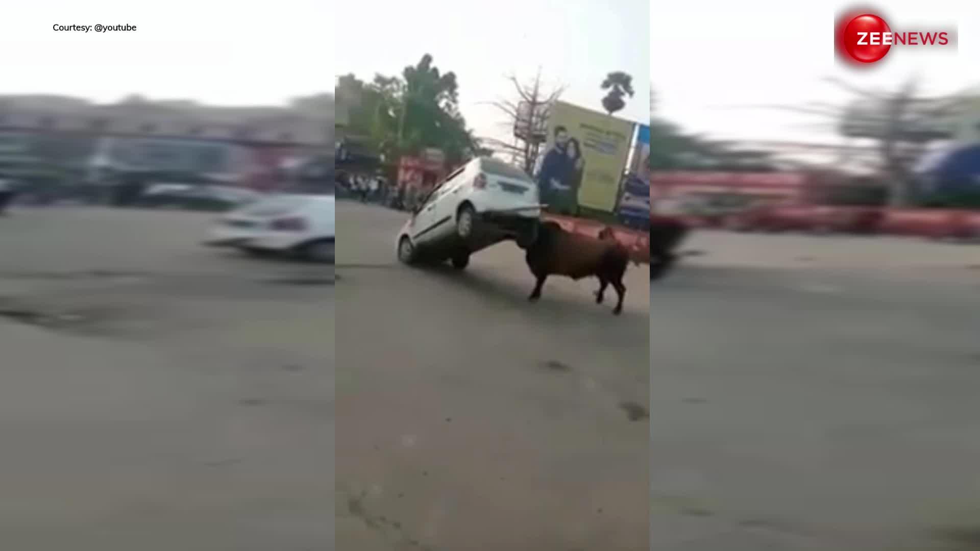 Angry Bull Video: गुस्सैल सांड ने एक झटके में उड़ा दिए गाड़ी के परखच्चे