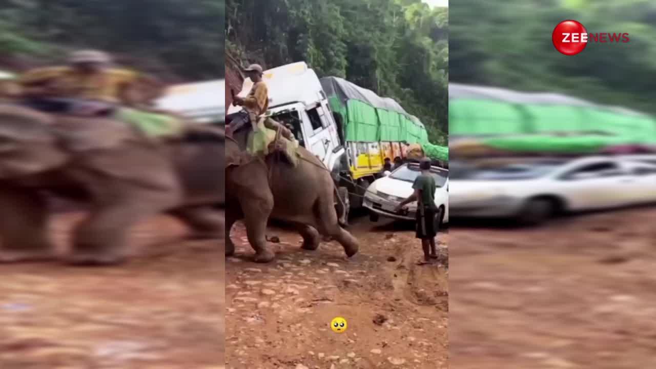 पहाड़ों पर हाथी से कार खिंचवाते नजर आए स्थानीय लोग, लोगों का फूटा गुस्सा; बोले- इन पर तो रहम करो