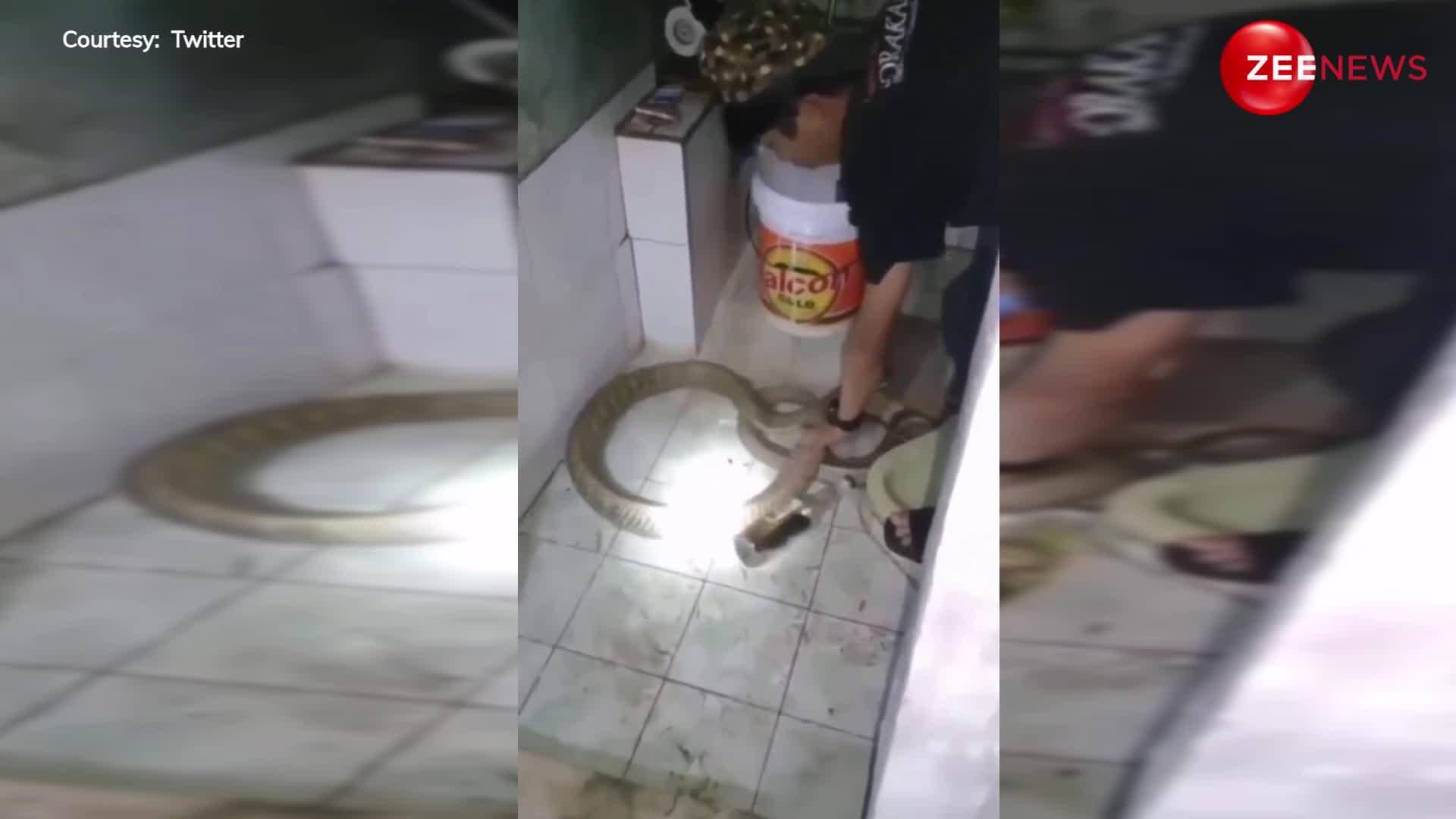 Viral: शख्स खतरनाक कोबरा सांप को नहलाता आया नजर, देख लोगों के खड़े हो गए रोंगटे, वीडियो हुआ आग की तरह वायरल