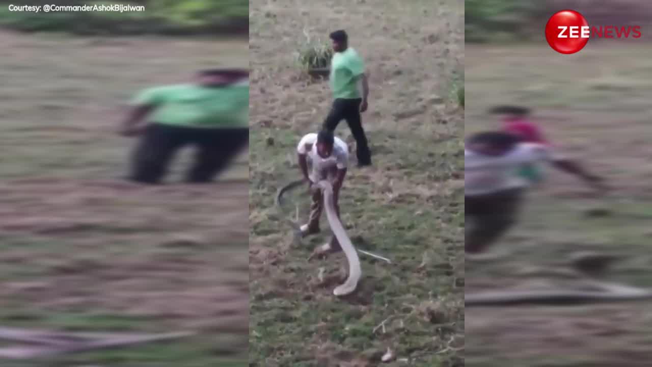गोवा के टूरिस्ट प्लेस पर दिखा 10 फीट से भी ज्यादा बड़ा किंग कोबरा, पागलों की तरह इधर-उधर भागे लोग