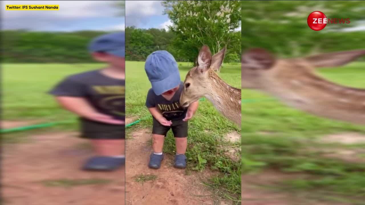 छोटे से बच्चे ने हिरण को बना लिया अपना जिगरी दोस्त, फिर कर दी किस तो क्यूट वीडियो हुआ वायरल