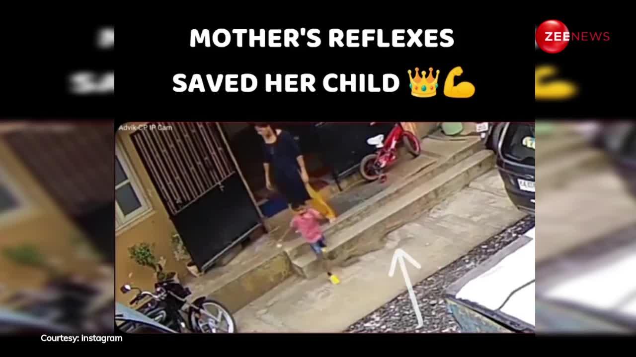 बच्चे का कोबरा पर पड़ गया पैर, डंसने चला... मां ने जान पर खेलकर मासूम को ऐसे बचाया; देखें वीडियो