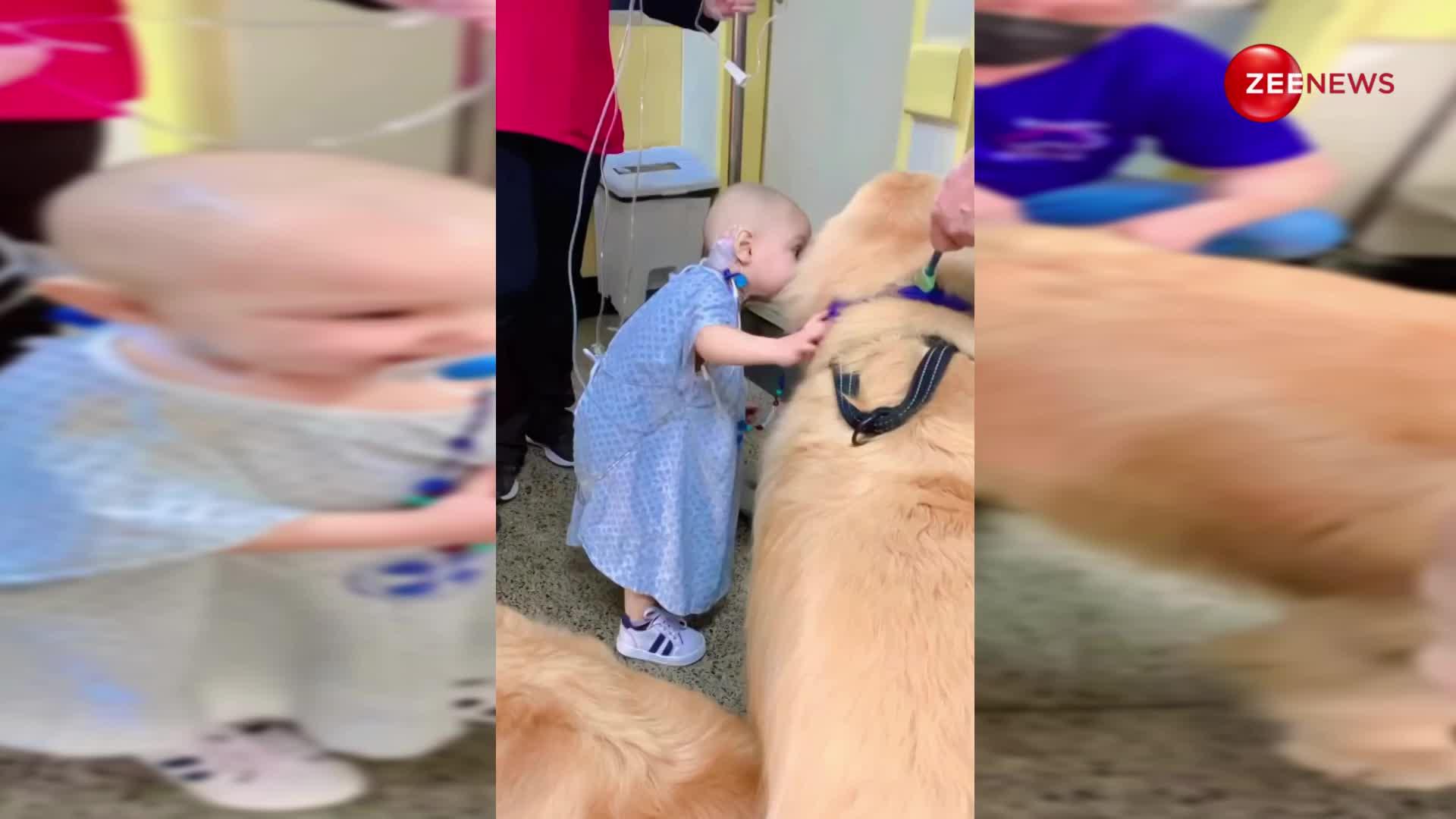 2 साल की बीमार लड़की से मिलने आया वफादार पालतू कुत्ता, वीडियो देख छुपा नहीं पाएंगे अपने आंसू