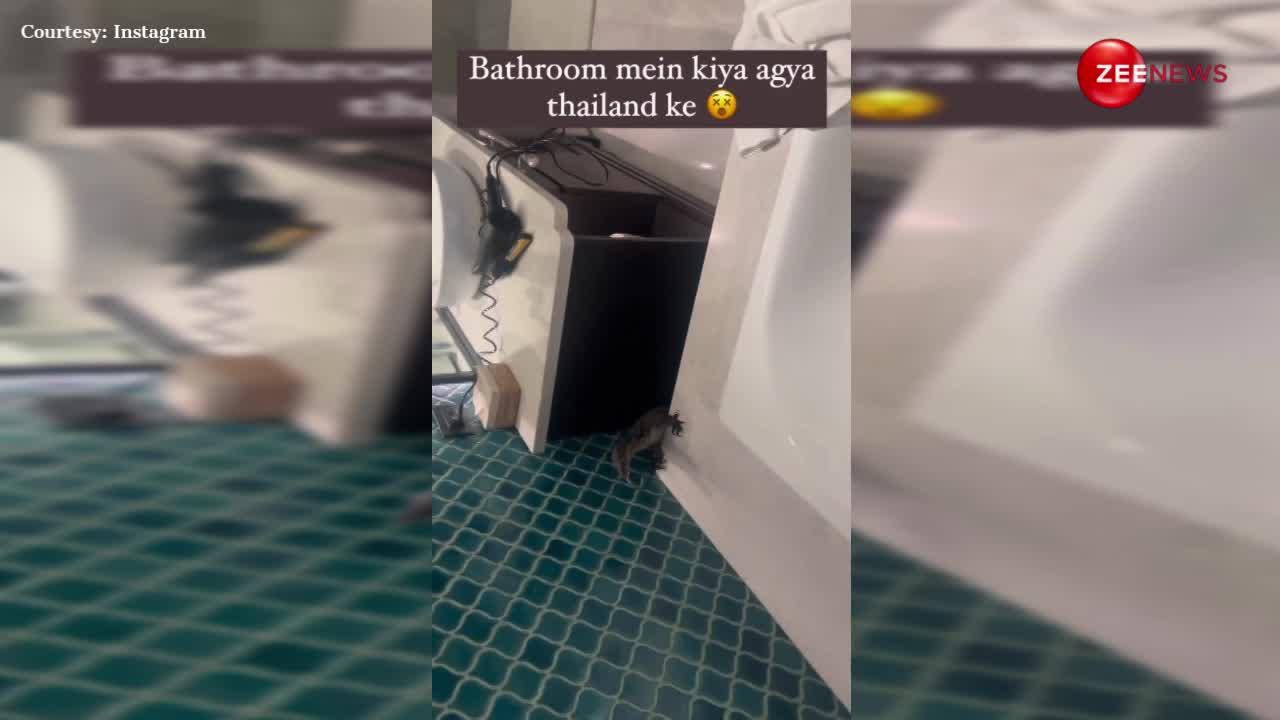 थाइलैंड के बाथरूम में अचानक घुस गई इतनी लंबी छिपकली, शख्स के ऊपर कूद पड़ी और फिर...