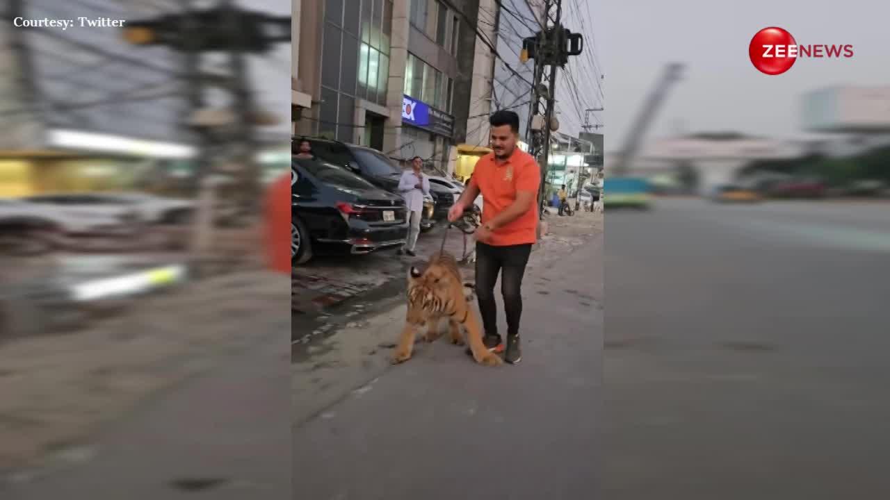 कुत्ता नहीं सड़क पर शेर घुमाते दिखे ये पाकिस्तानी जनाब, वीडियो वायरल होते ही गुस्से से लाल हुई पब्लिक; बोली-तुरंत अरेस्ट करो